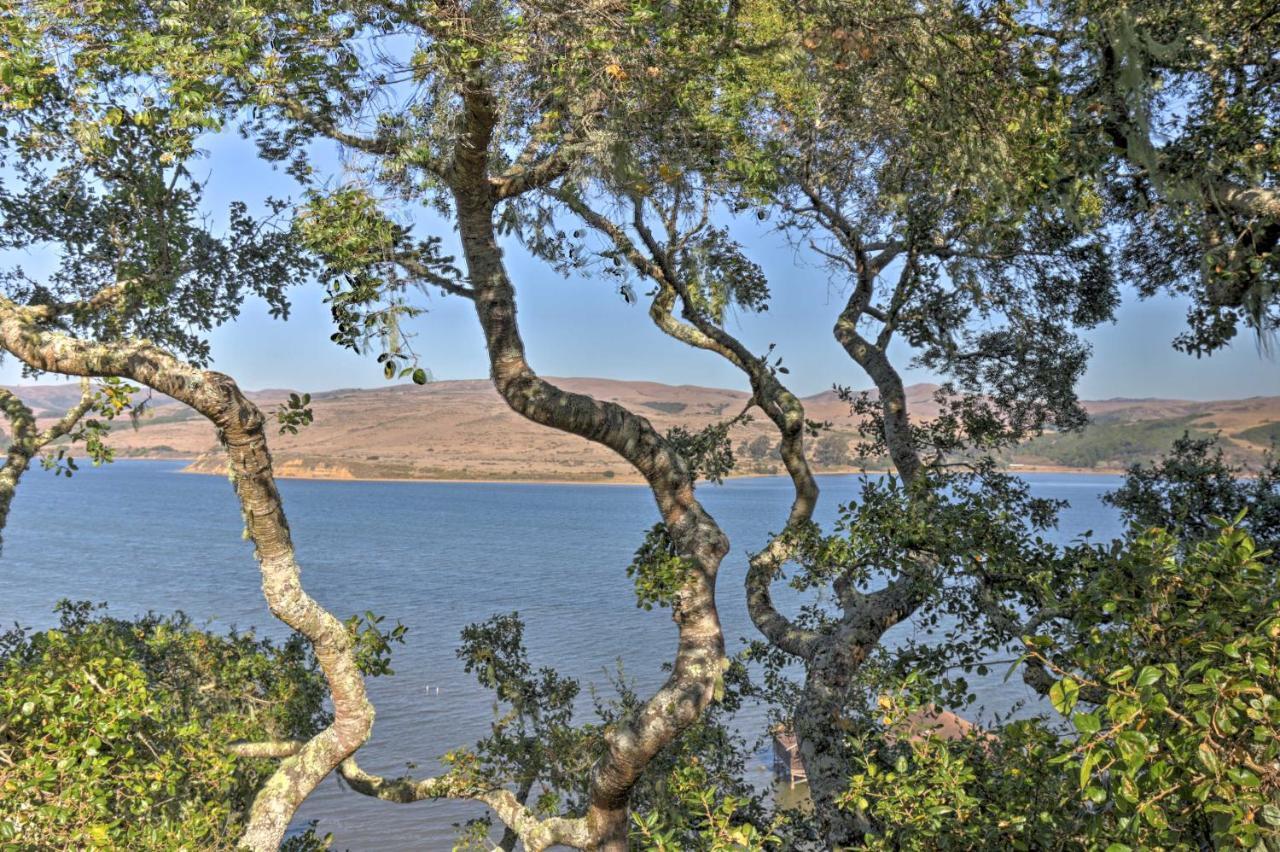 Hillside Home With Deck And Views Of Tomales Bay! Inverness Esterno foto
